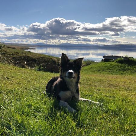 Bessastathir Guesthouse Hvammstangi Exteriör bild