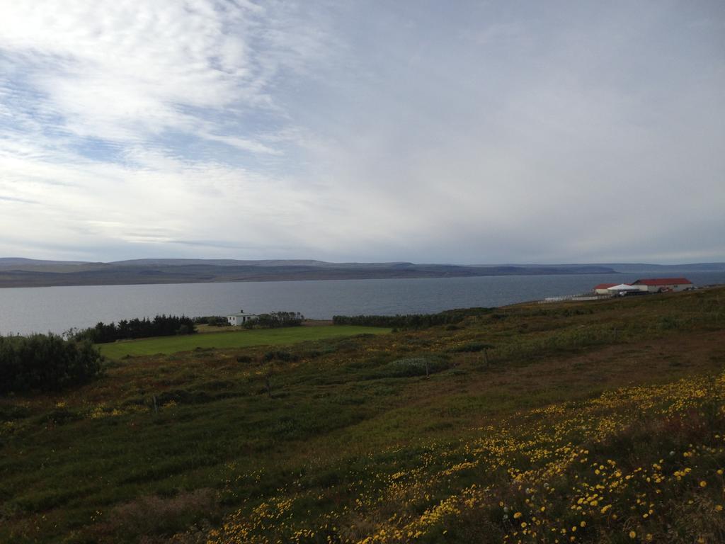 Bessastathir Guesthouse Hvammstangi Exteriör bild