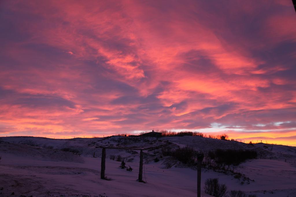 Bessastathir Guesthouse Hvammstangi Exteriör bild